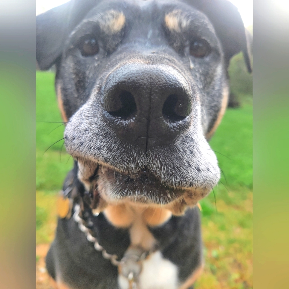 Meet your Posher, Colleen